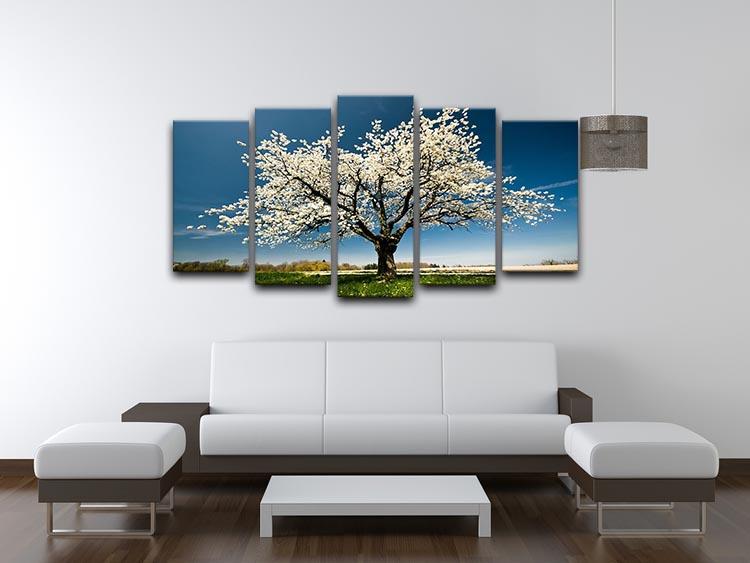 Single blossoming tree in spring 5 Split Panel Canvas  - Canvas Art Rocks - 3