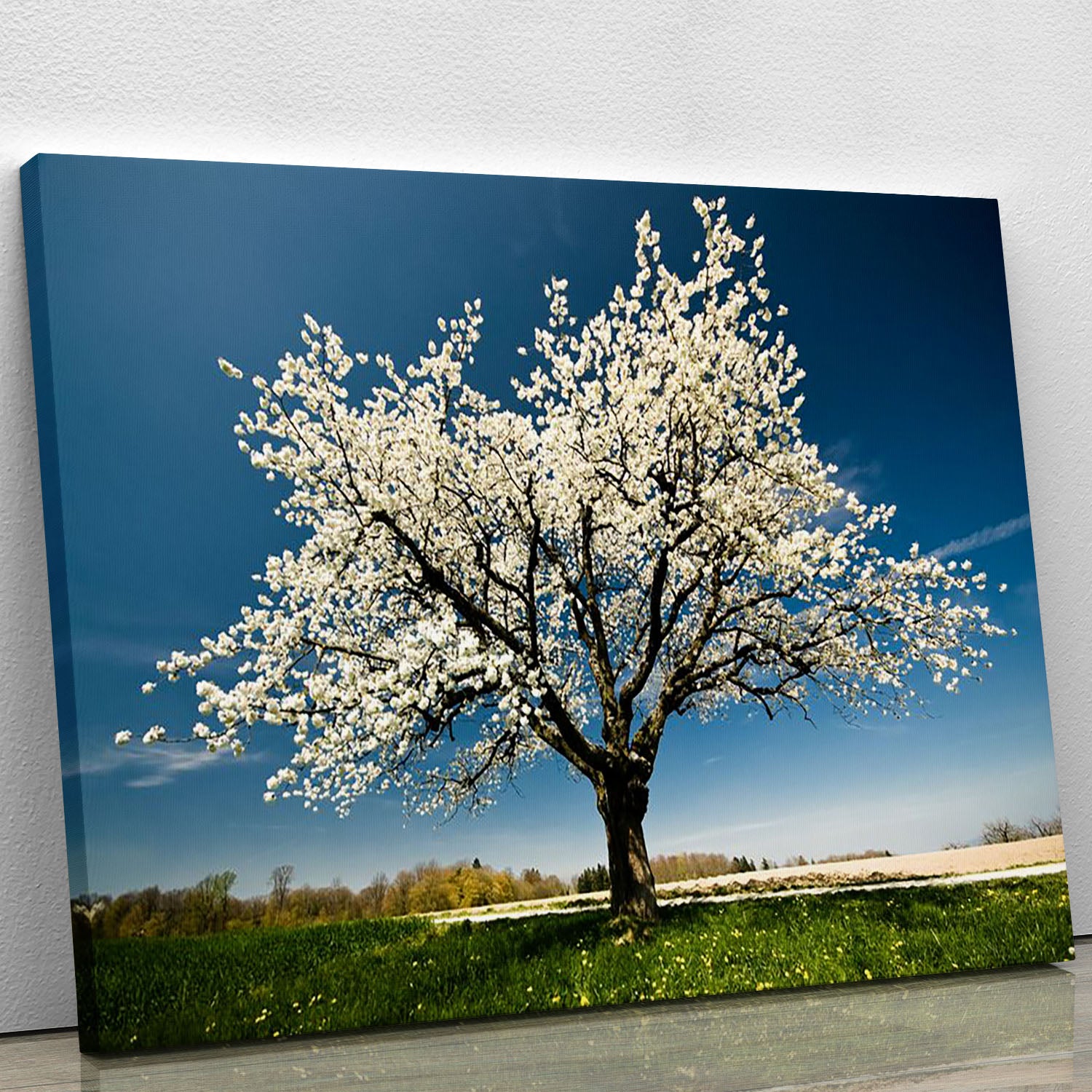 Single blossoming tree in spring Canvas Print or Poster - Canvas Art Rocks - 1