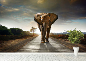 Single elephant walking in a road Wall Mural Wallpaper - Canvas Art Rocks - 4