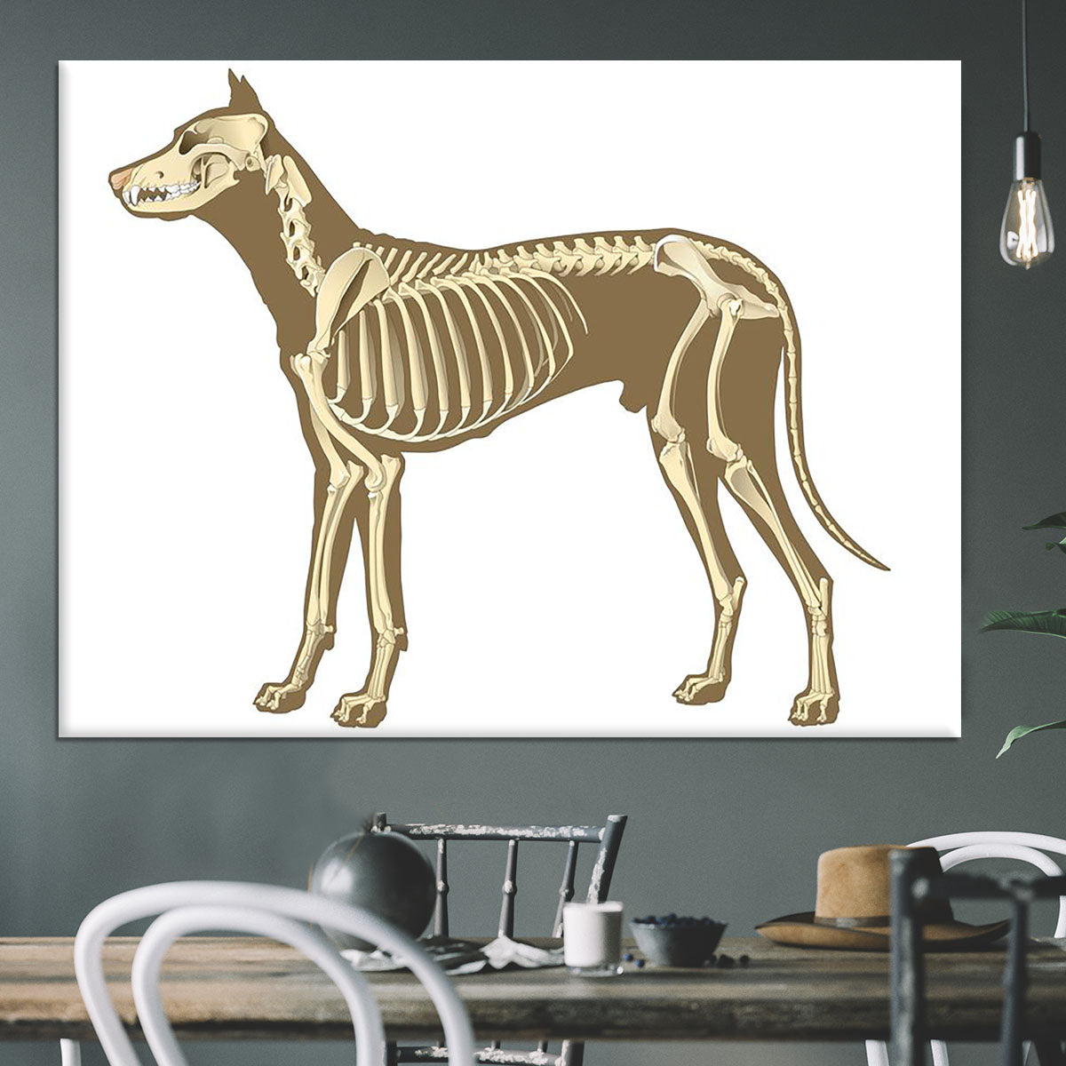 Skeleton of dog section with bones x ray Canvas Print or Poster - Canvas Art Rocks - 3