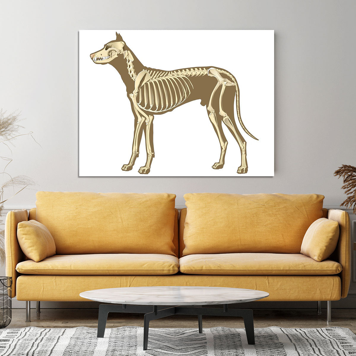 Skeleton of dog section with bones x ray Canvas Print or Poster - Canvas Art Rocks - 4