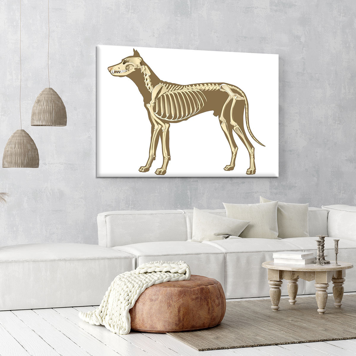 Skeleton of dog section with bones x ray Canvas Print or Poster - Canvas Art Rocks - 6