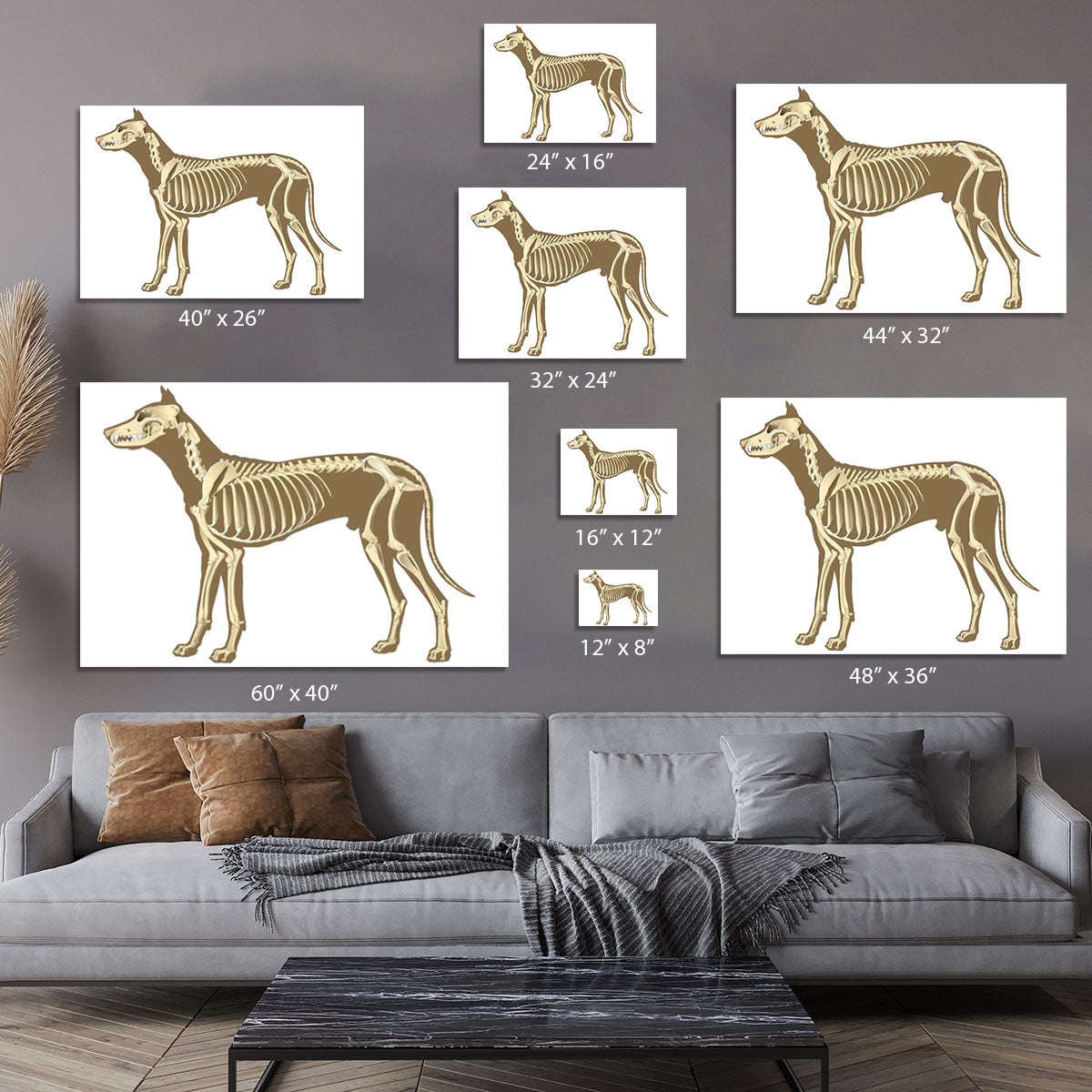 Skeleton of dog section with bones x ray Canvas Print or Poster - Canvas Art Rocks - 7