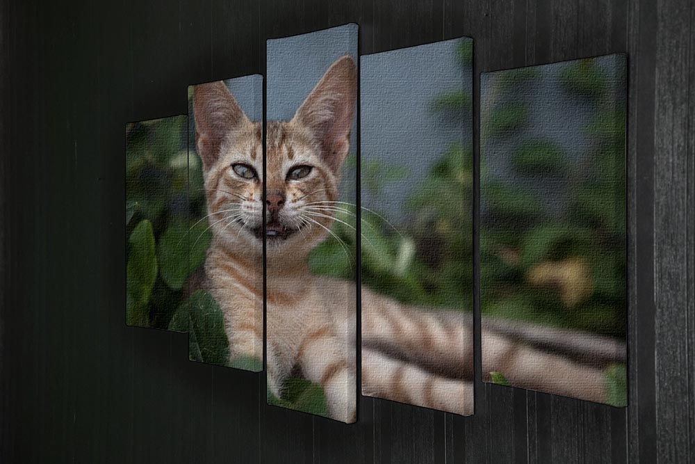 Smiling Cat 5 Split Panel Canvas - Canvas Art Rocks - 2