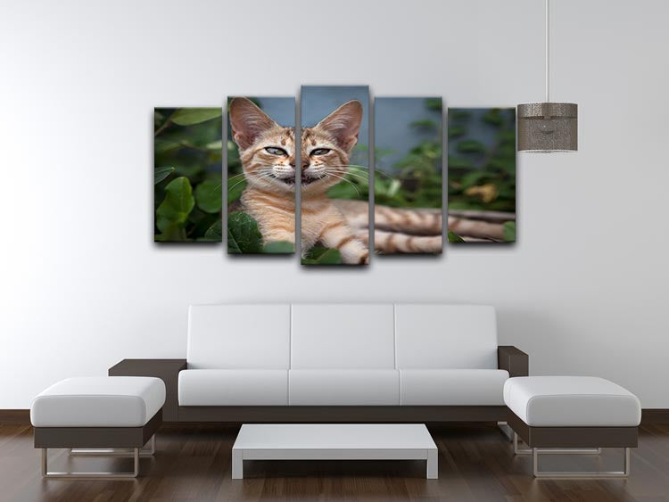 Smiling Cat 5 Split Panel Canvas - Canvas Art Rocks - 3