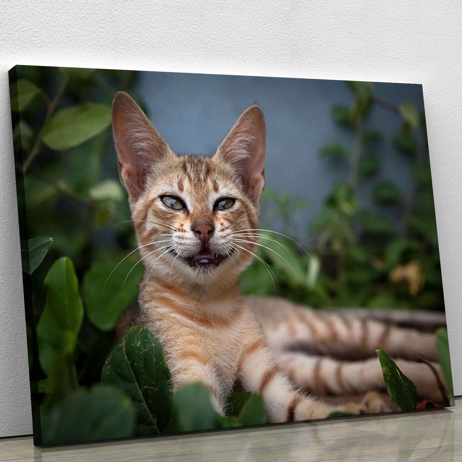 Smiling Cat Canvas Print or Poster - Canvas Art Rocks - 1