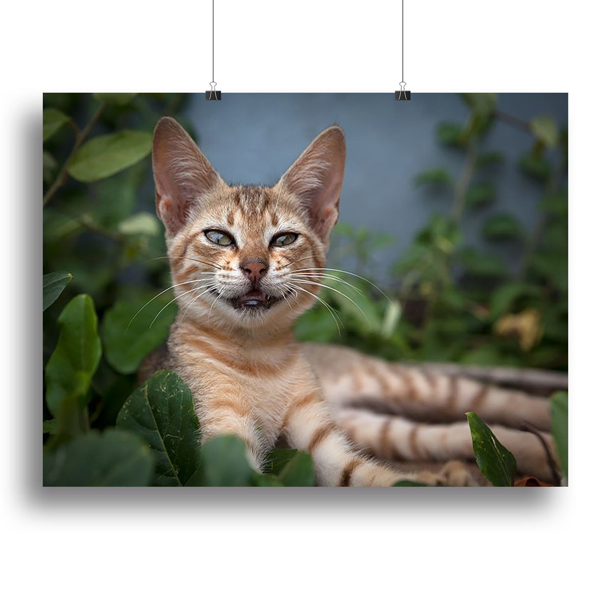 Smiling Cat Canvas Print or Poster - Canvas Art Rocks - 2