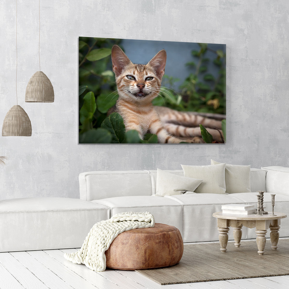 Smiling Cat Canvas Print or Poster - Canvas Art Rocks - 6