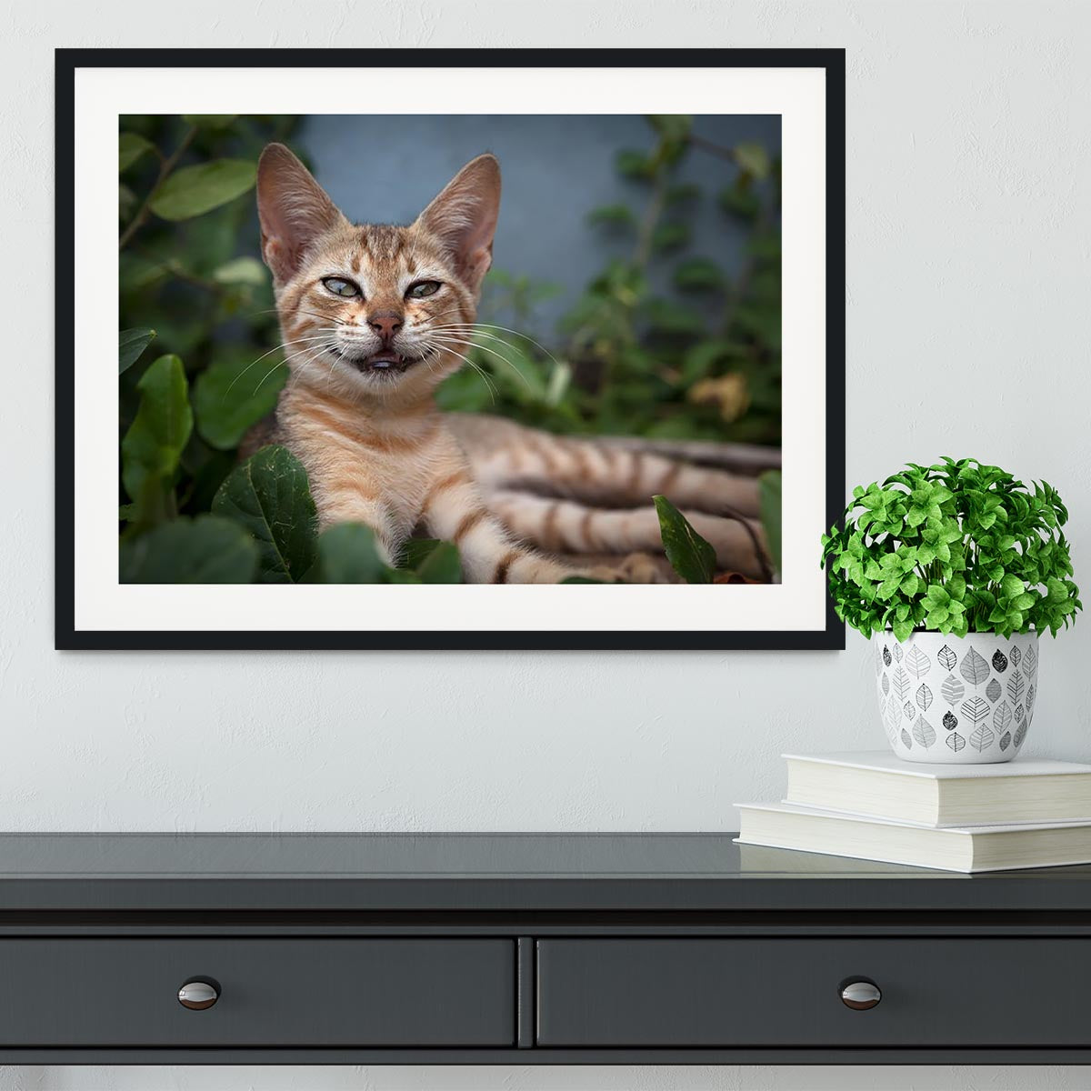 Smiling Cat Framed Print - Canvas Art Rocks - 1