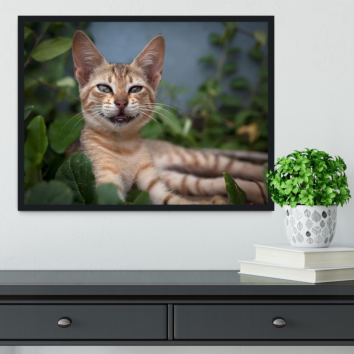 Smiling Cat Framed Print - Canvas Art Rocks - 2
