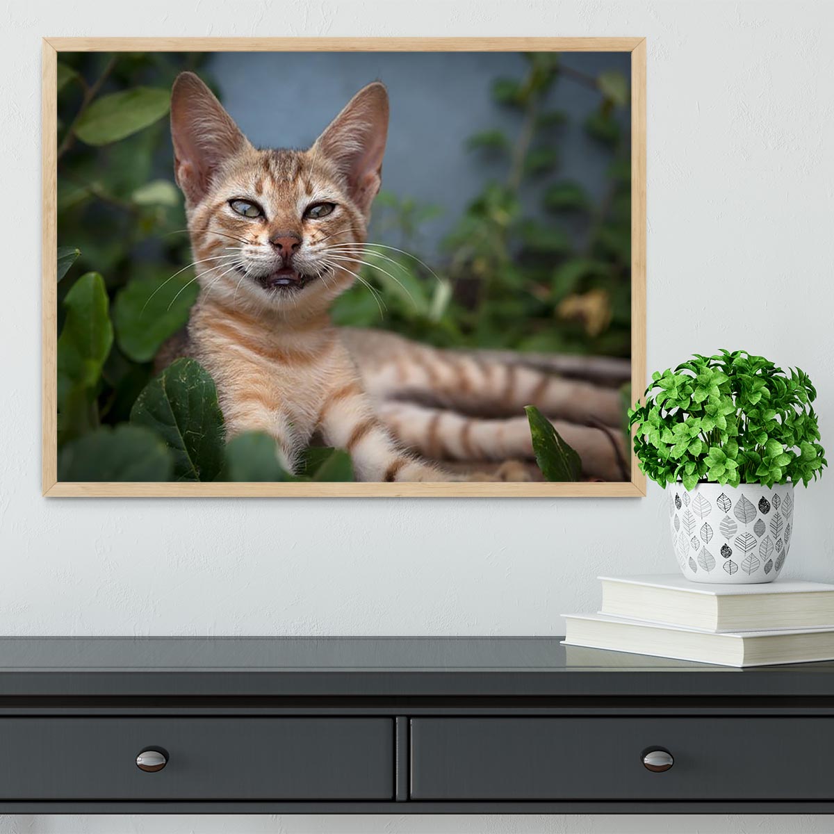 Smiling Cat Framed Print - Canvas Art Rocks - 4
