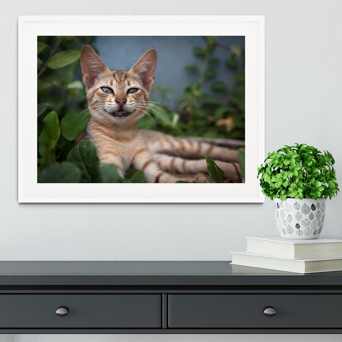 Smiling Cat Framed Print - Canvas Art Rocks - 5