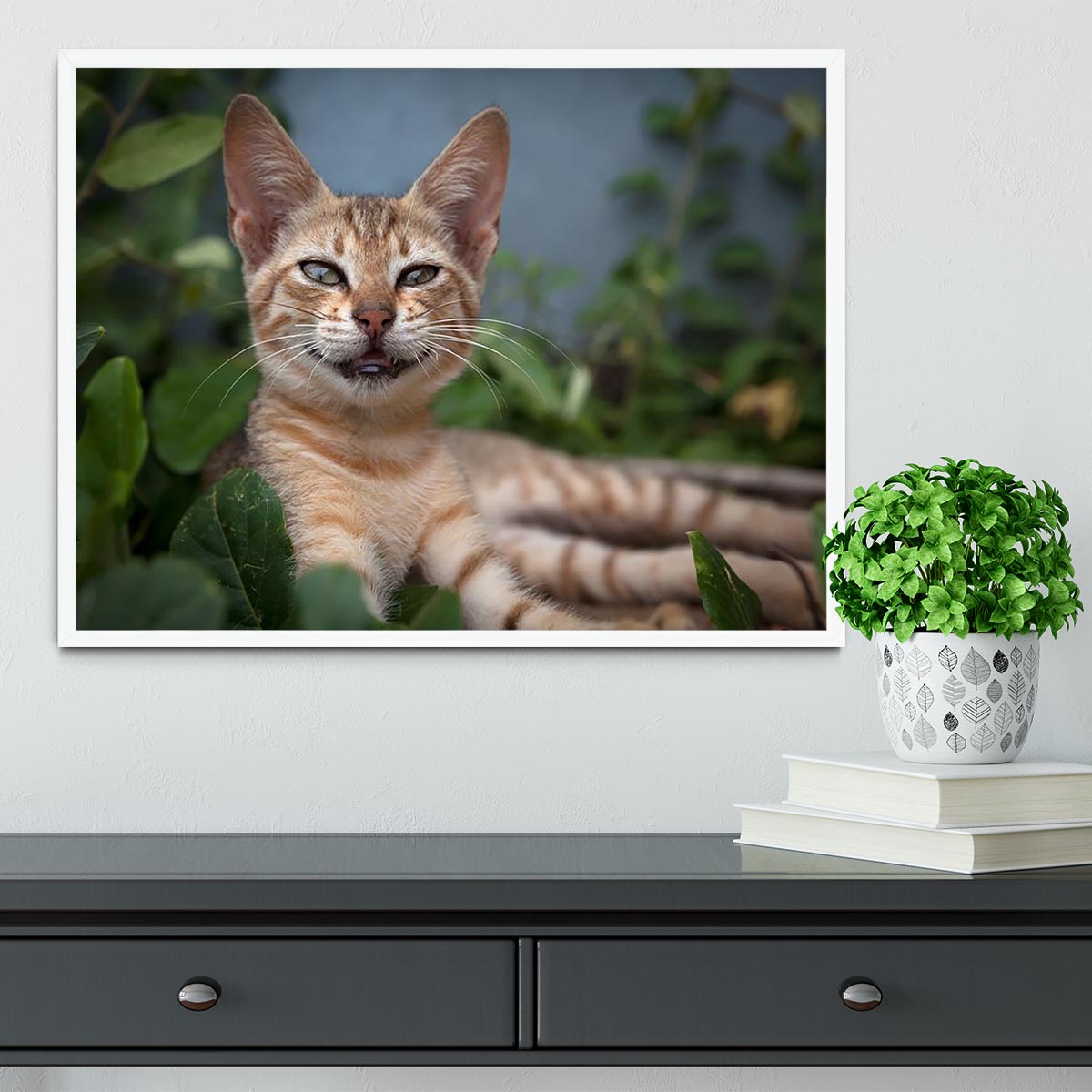 Smiling Cat Framed Print - Canvas Art Rocks -6