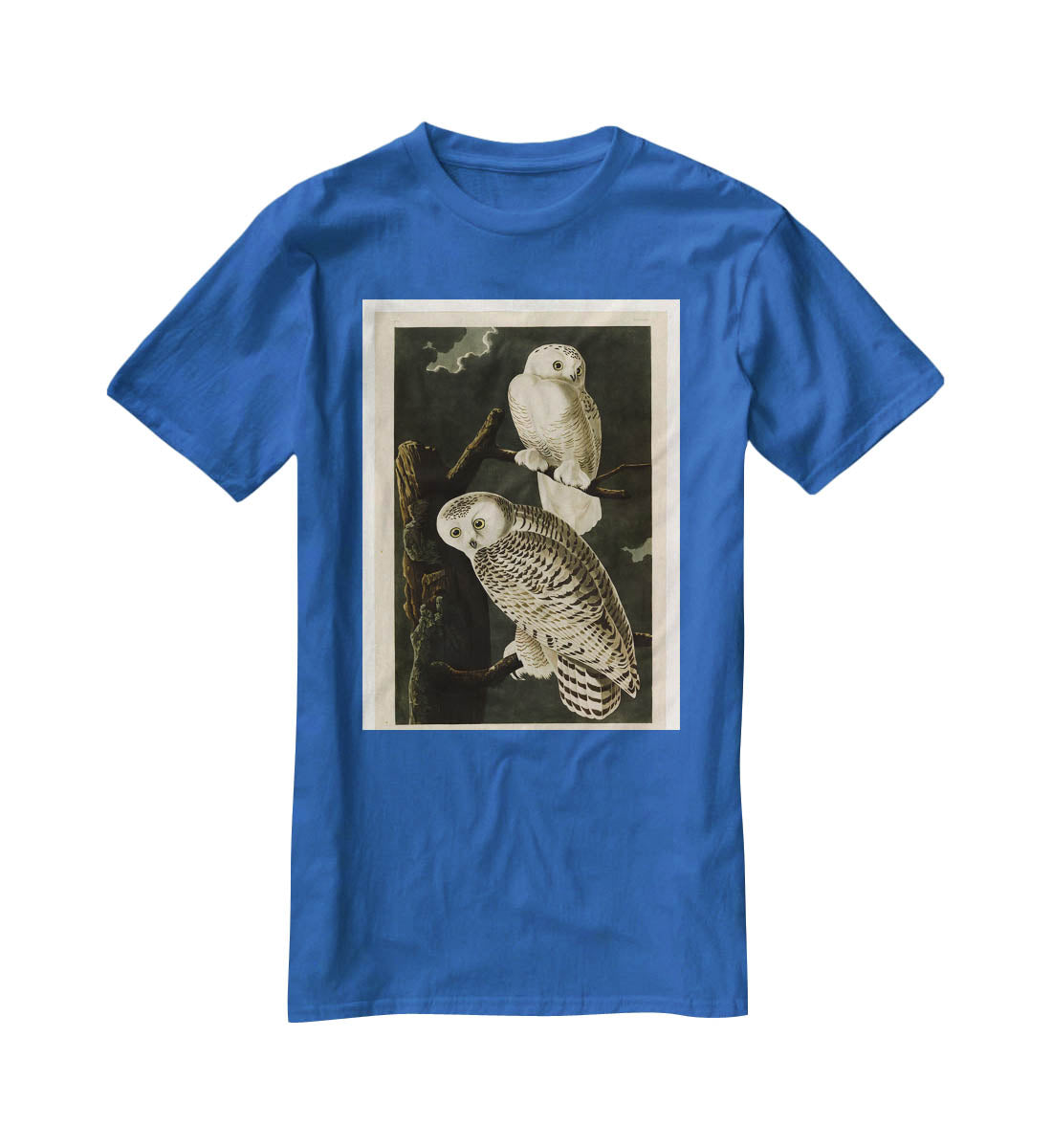 Snowy Owl by Audubon T-Shirt - Canvas Art Rocks - 2