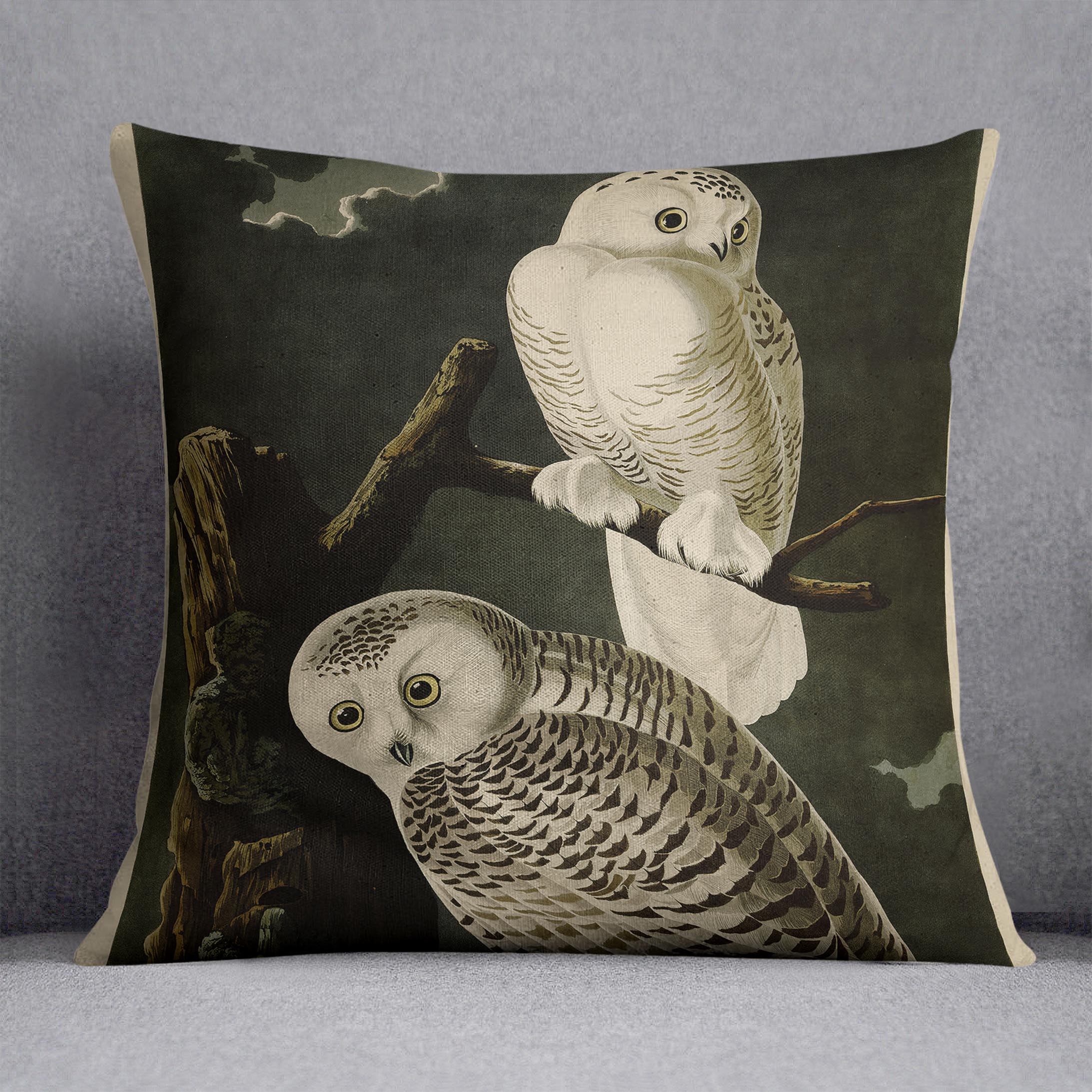 Snowy Owl by Audubon Cushion