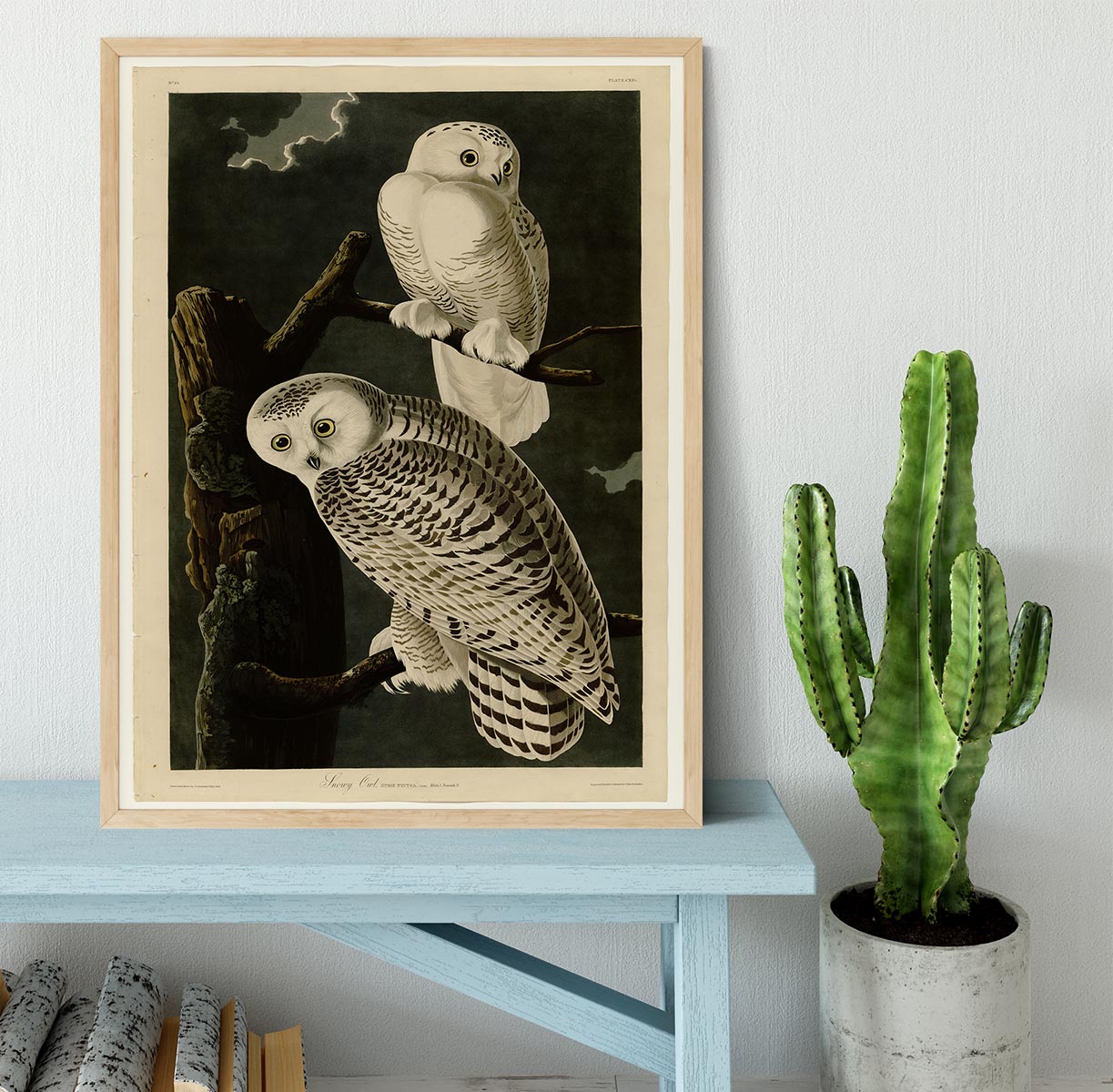 Snowy Owl by Audubon Framed Print - Canvas Art Rocks - 4