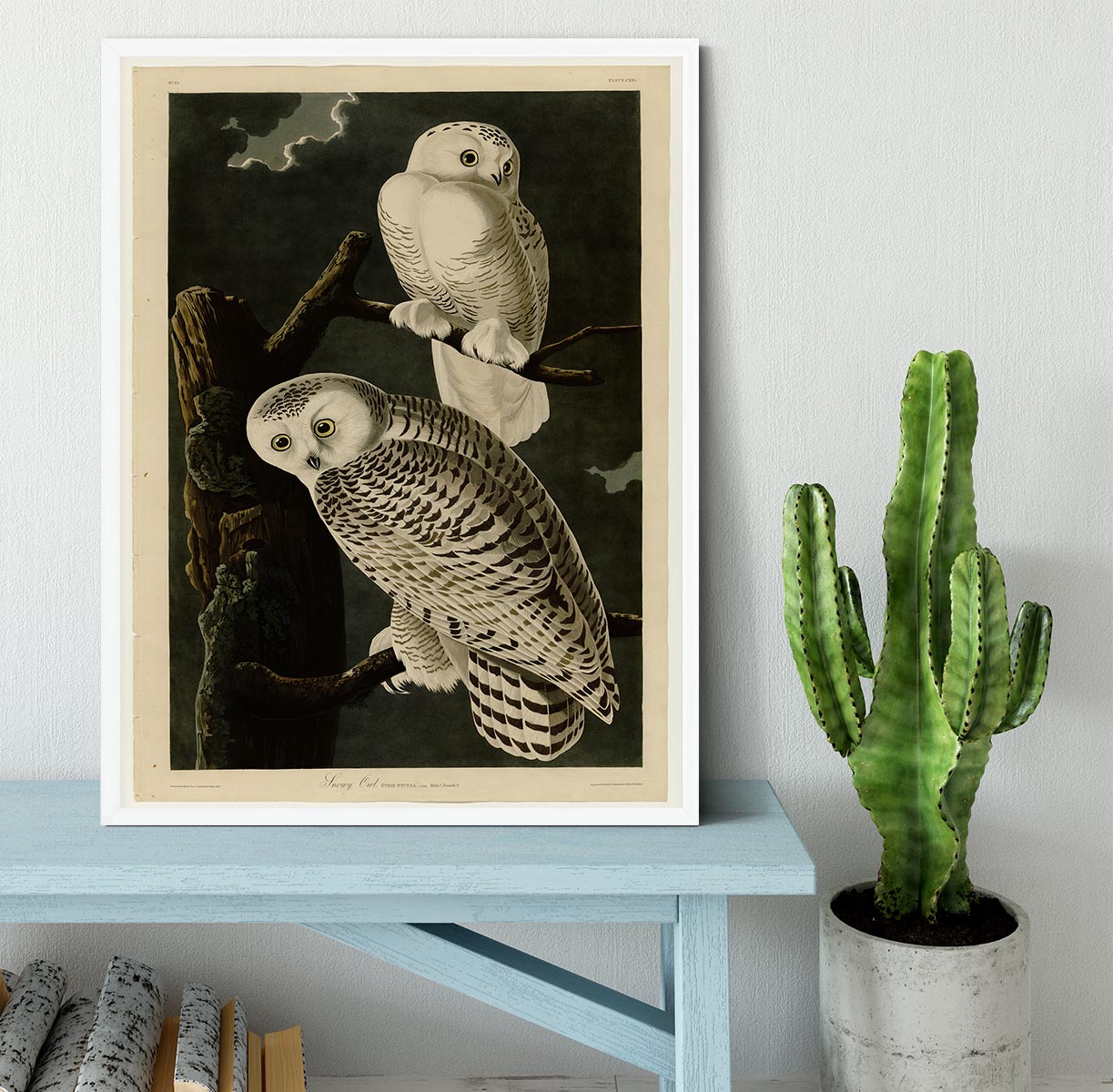 Snowy Owl by Audubon Framed Print - Canvas Art Rocks -6