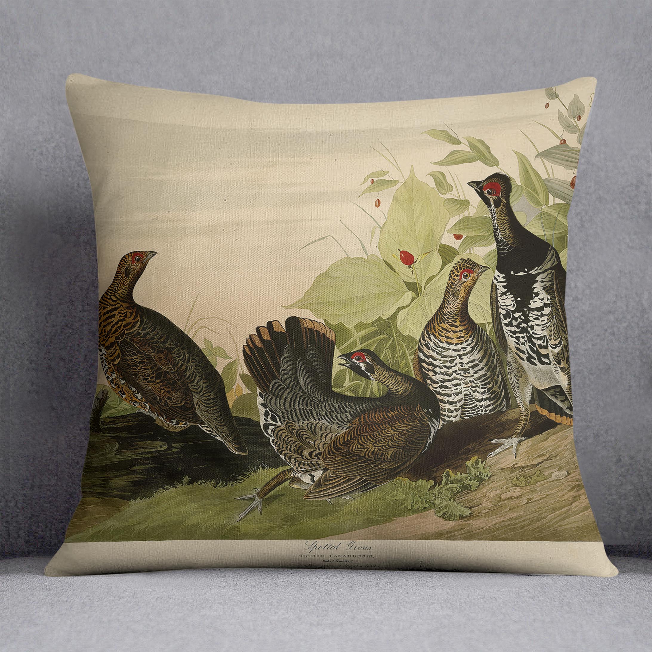 Spotted Grouse by Audubon Cushion