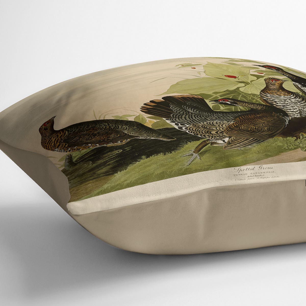Spotted Grouse by Audubon Cushion