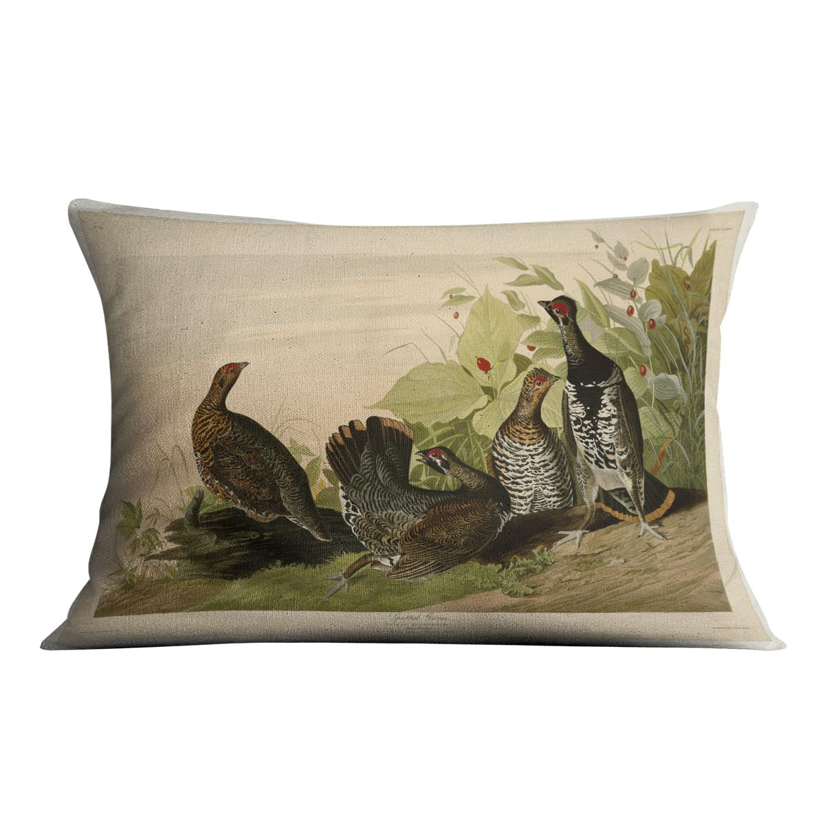Spotted Grouse by Audubon Cushion