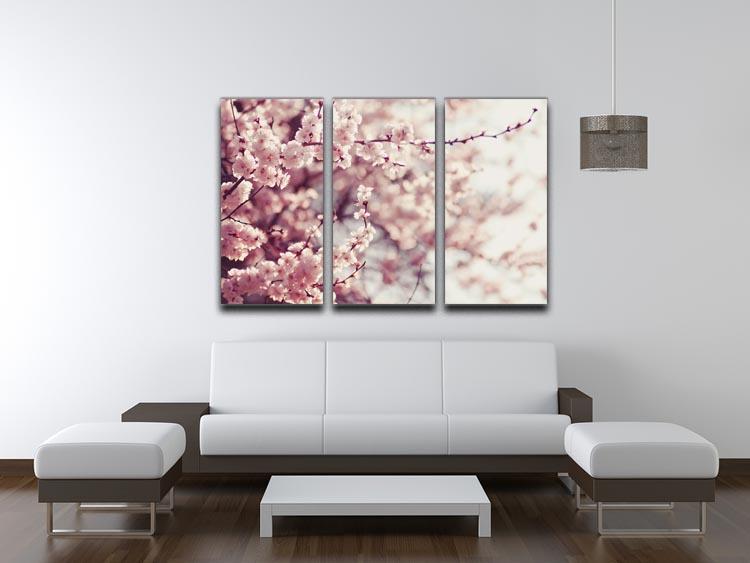 Spring Cherry blossoms 3 Split Panel Canvas Print - Canvas Art Rocks - 3
