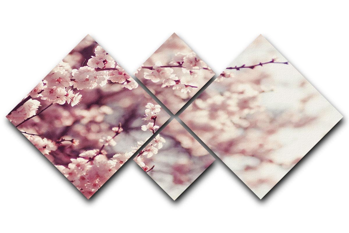 Spring Cherry blossoms 4 Square Multi Panel Canvas  - Canvas Art Rocks - 1