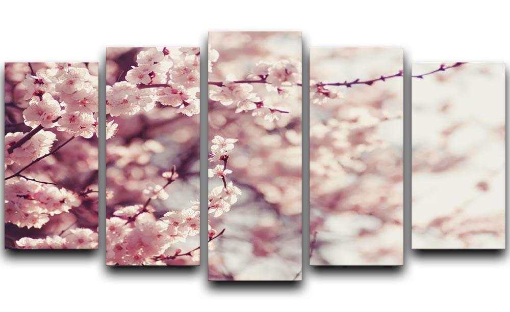 Spring Cherry blossoms 5 Split Panel Canvas  - Canvas Art Rocks - 1