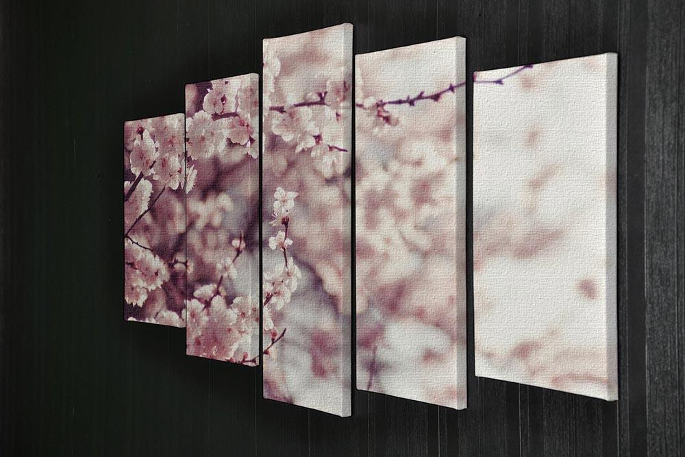 Spring Cherry blossoms 5 Split Panel Canvas  - Canvas Art Rocks - 2