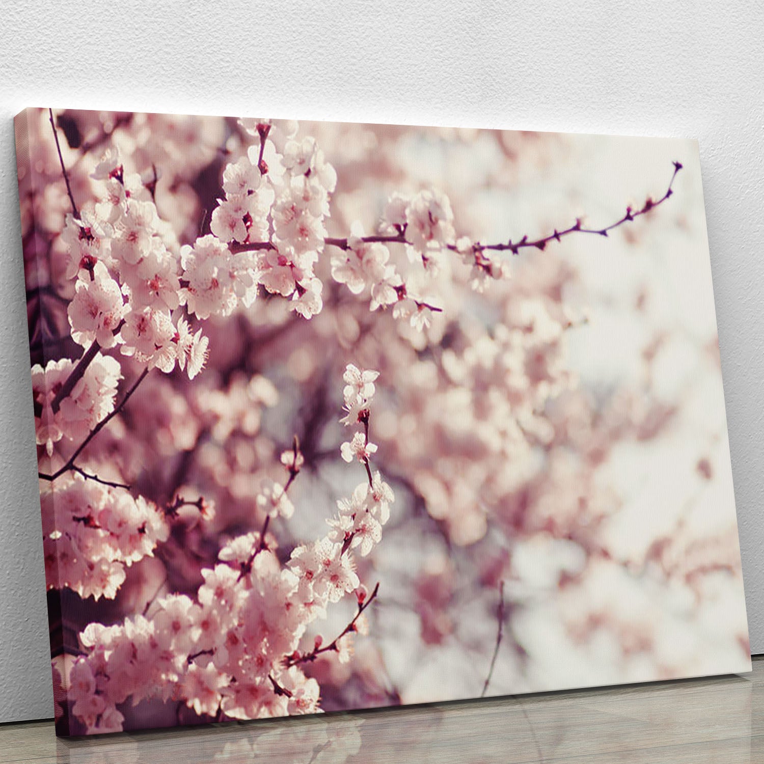 Spring Cherry blossoms Canvas Print or Poster - Canvas Art Rocks - 1