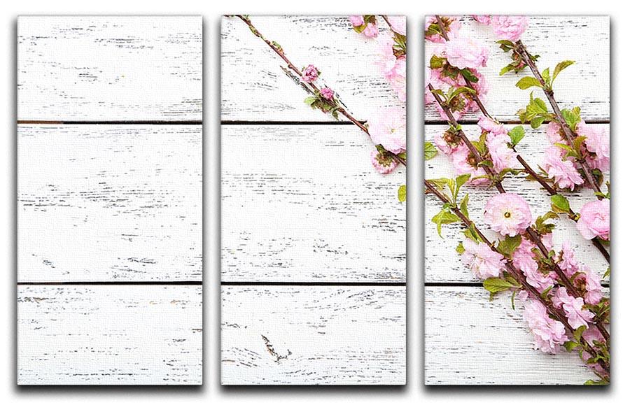 Spring flowering branch on white wooden 3 Split Panel Canvas Print - Canvas Art Rocks - 1