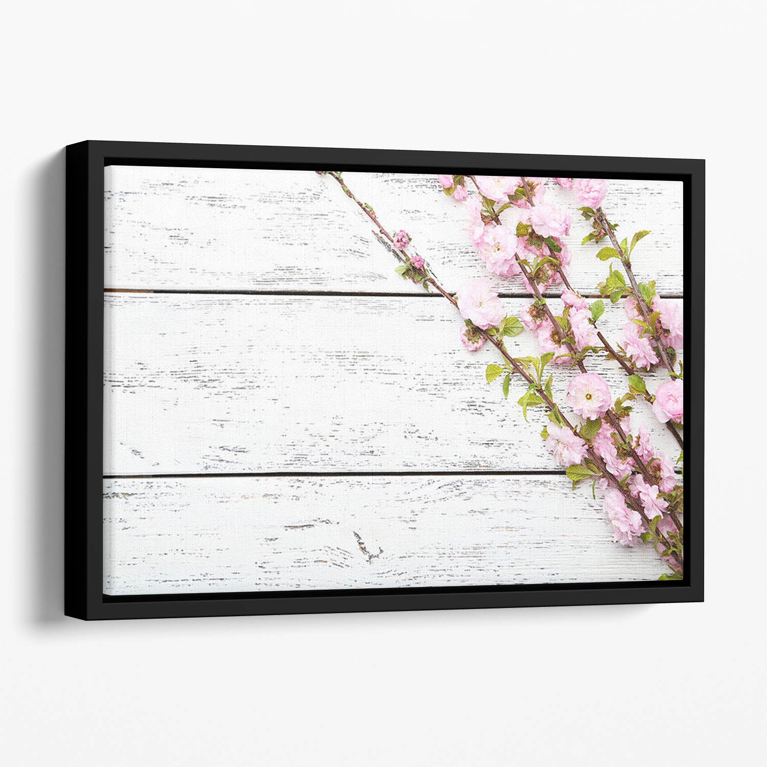 Spring flowering branch on white wooden Floating Framed Canvas