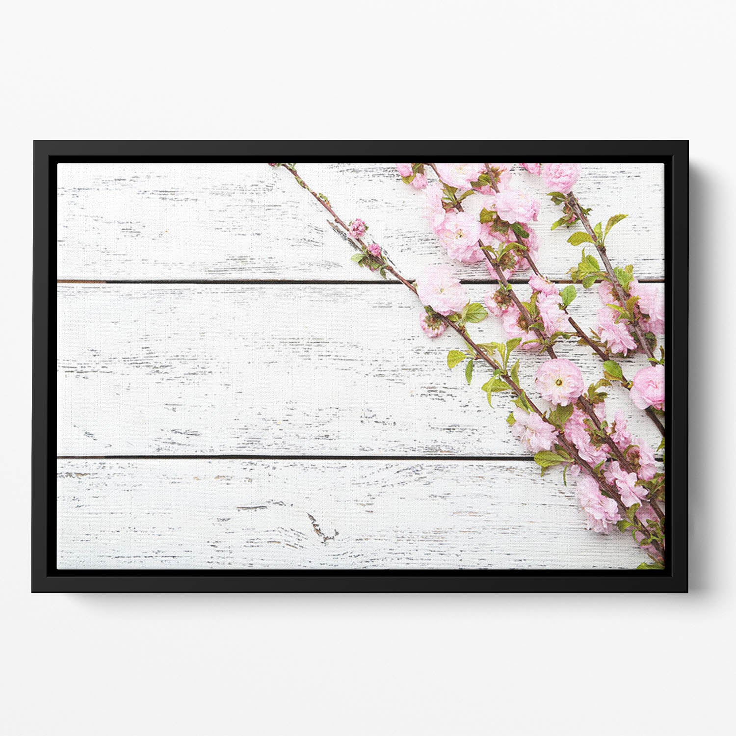 Spring flowering branch on white wooden Floating Framed Canvas
