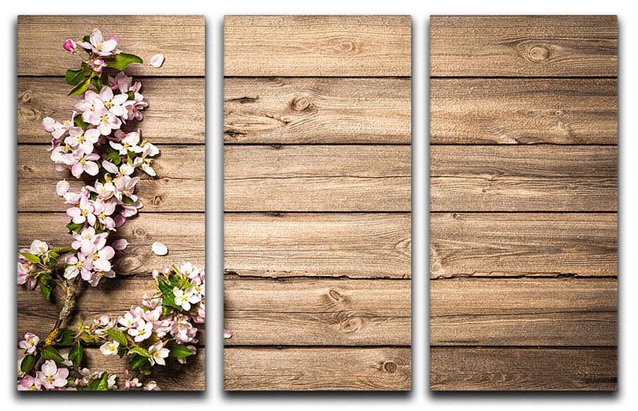 Spring flowering branch on wooden background 3 Split Panel Canvas Print - Canvas Art Rocks - 1