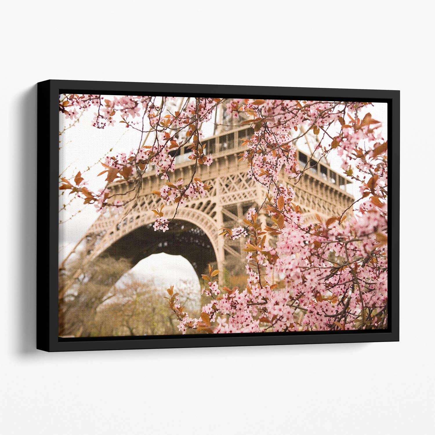 Spring in Paris Floating Framed Canvas