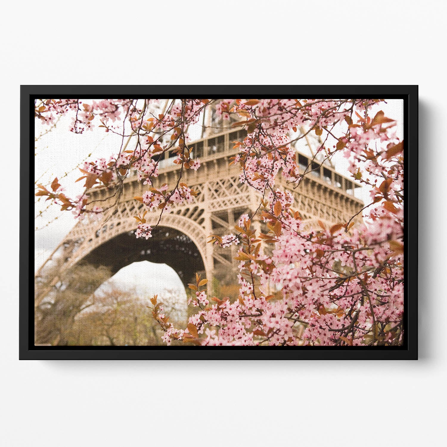 Spring in Paris Floating Framed Canvas