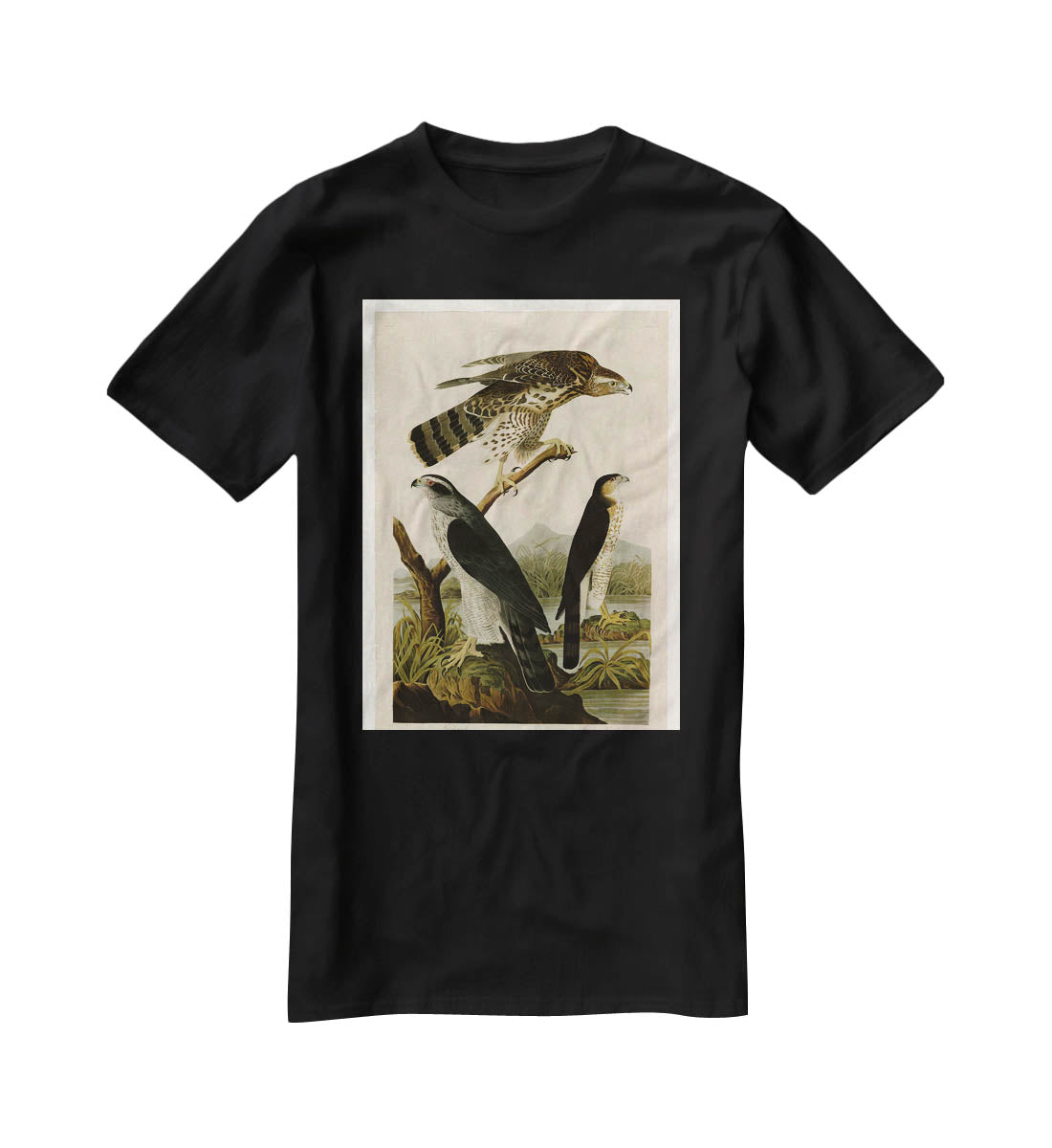 Stanley Hawk by Audubon T-Shirt - Canvas Art Rocks - 1