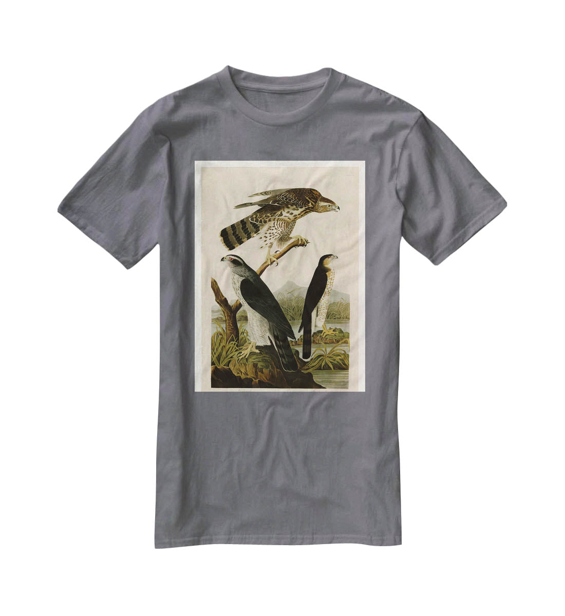 Stanley Hawk by Audubon T-Shirt - Canvas Art Rocks - 3