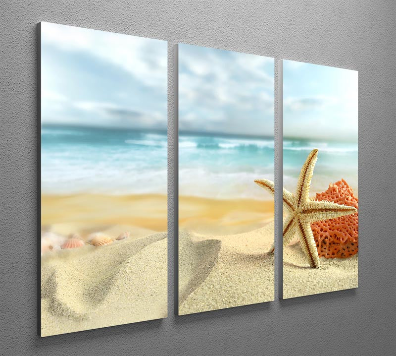 Starfish 3 Split Panel Canvas Print - Canvas Art Rocks - 2