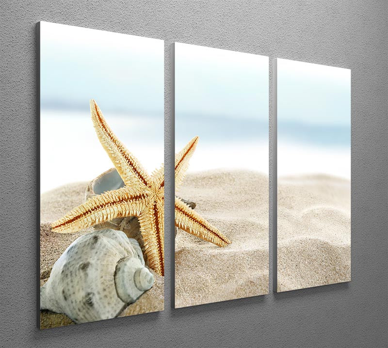 Starfish on the Beach 3 Split Panel Canvas Print - Canvas Art Rocks - 2