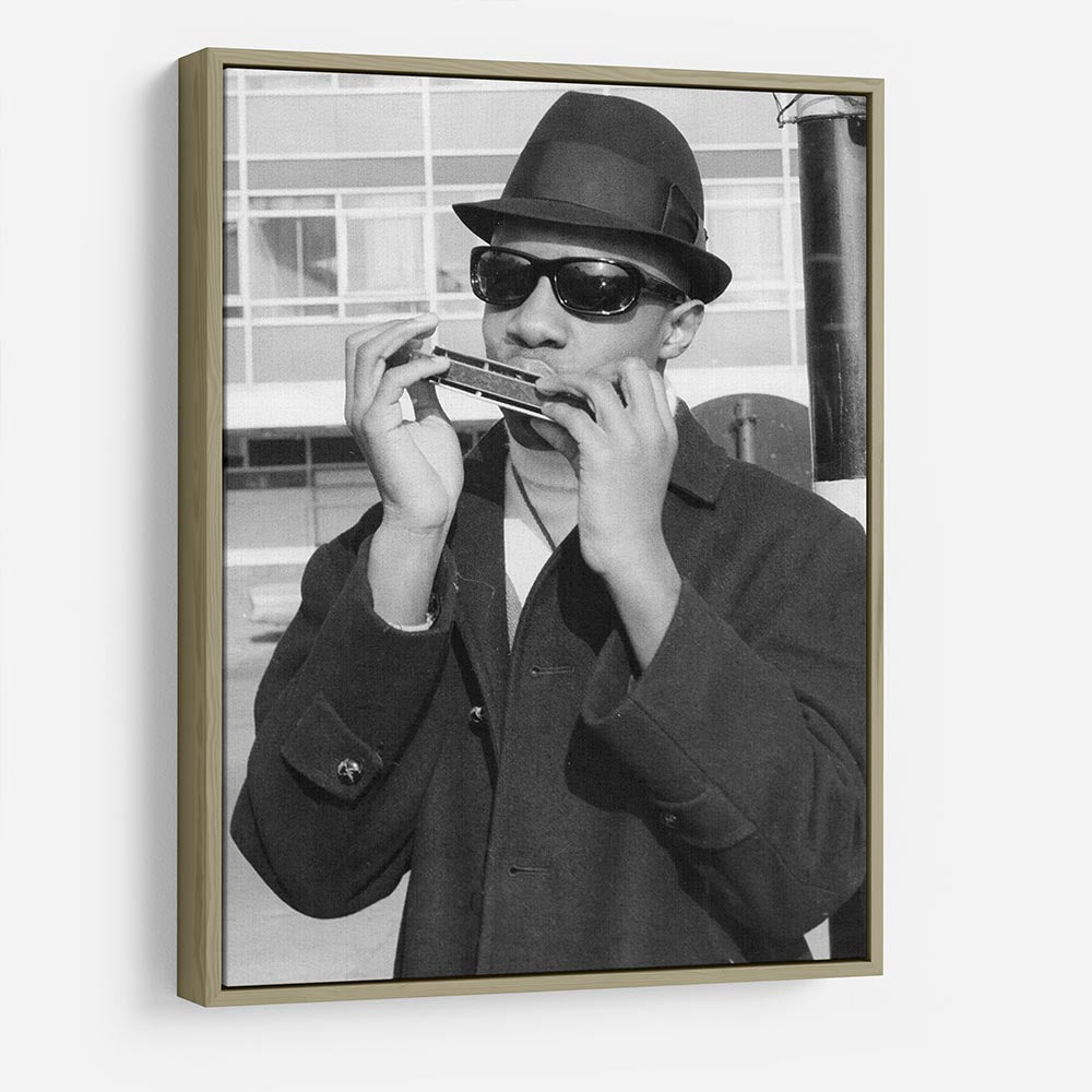 Stevie Wonder playing the harmonica HD Metal Print