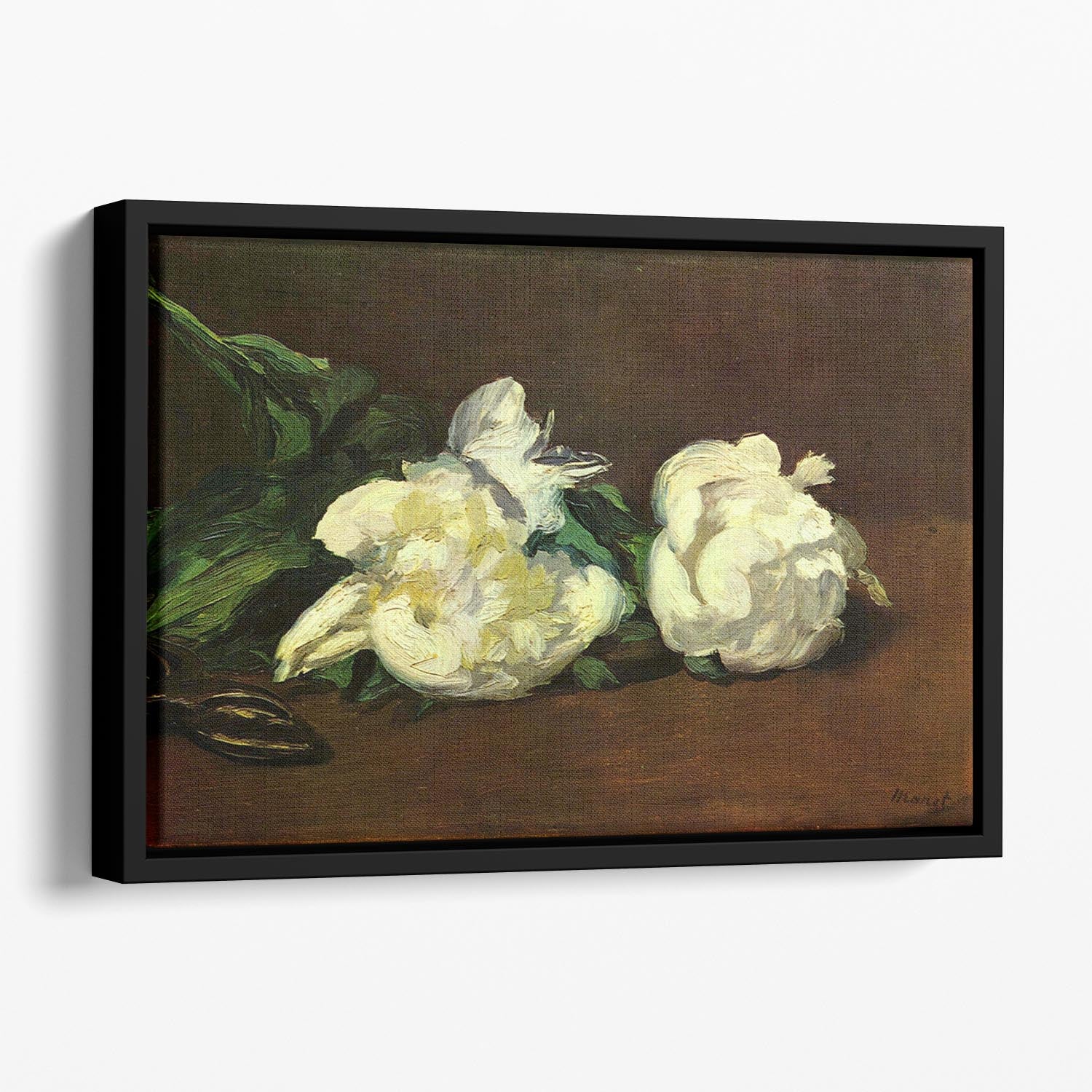 Still life White Peony by Manet Floating Framed Canvas