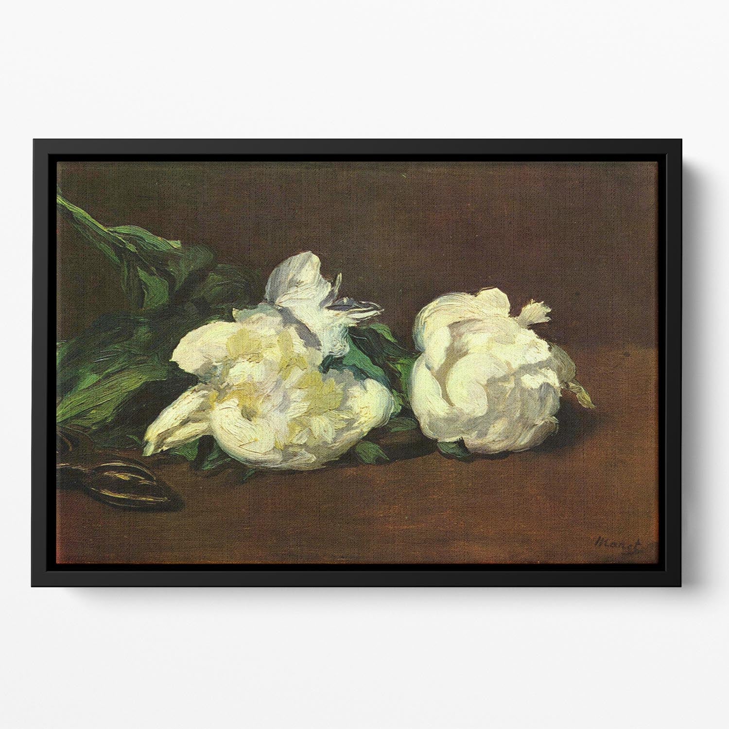 Still life White Peony by Manet Floating Framed Canvas