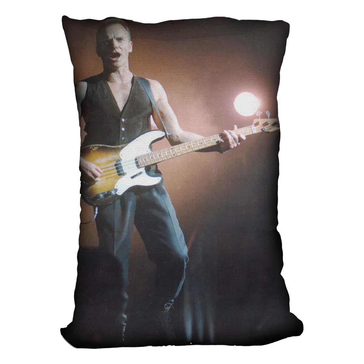 Sting in concert Cushion