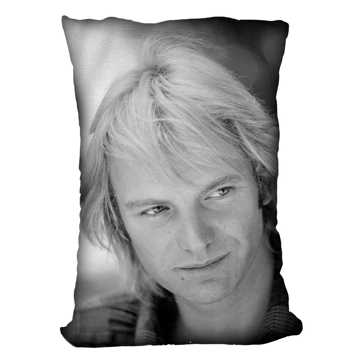Sting in profile Cushion