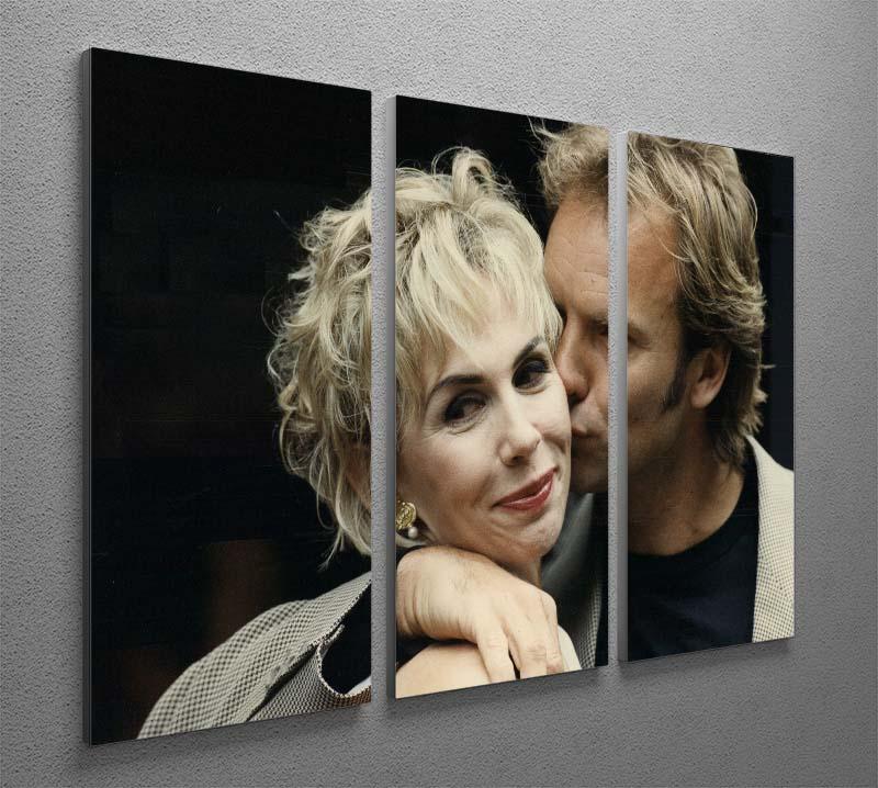 Sting with Trudie 3 Split Panel Canvas Print - Canvas Art Rocks - 2