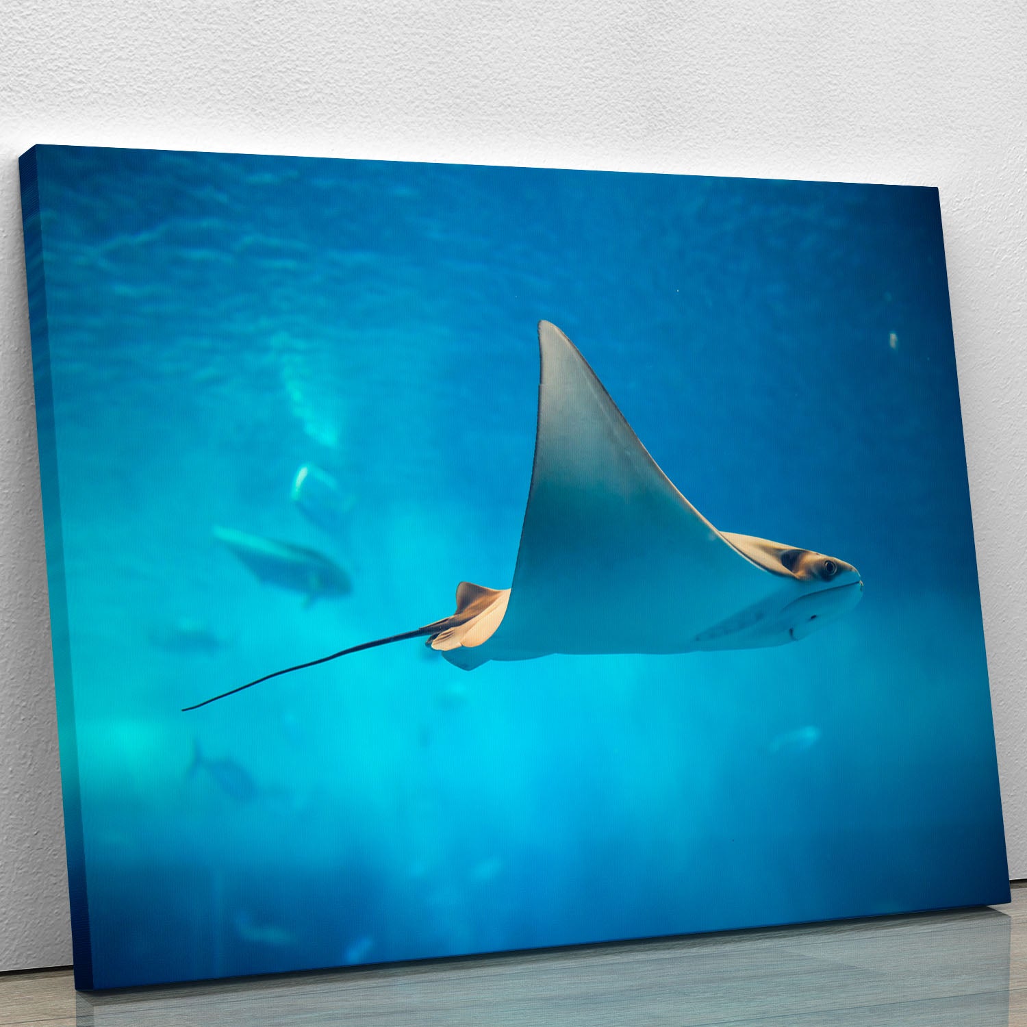 Stingray in the aquarium Canvas Print or Poster - Canvas Art Rocks - 1