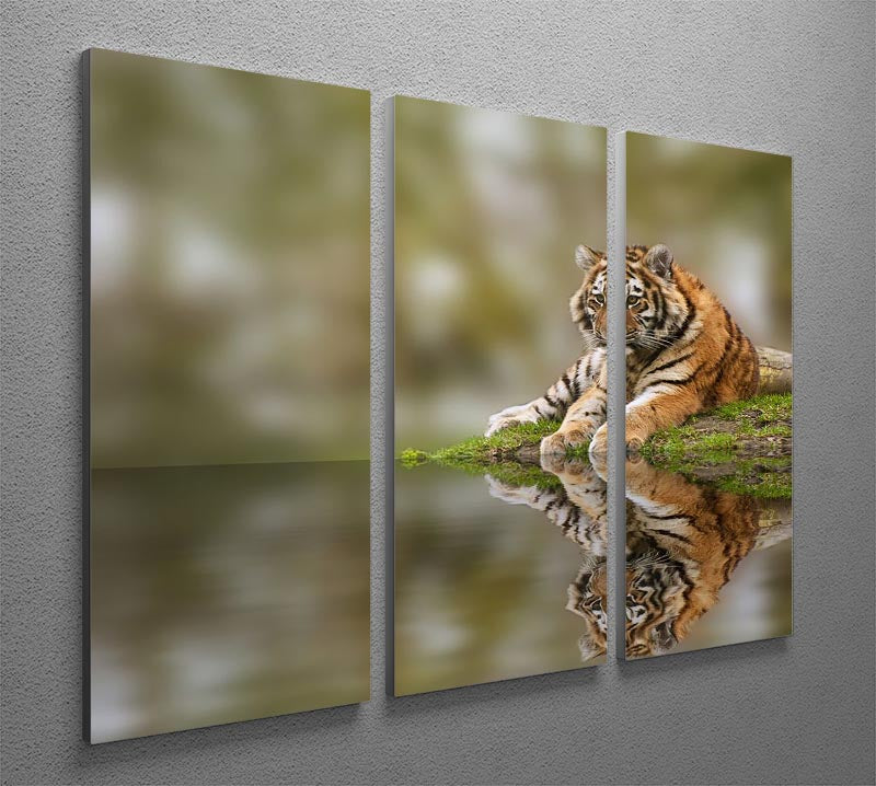 Sttunning tiger cub relaxing on a warm day 3 Split Panel Canvas Print - Canvas Art Rocks - 2