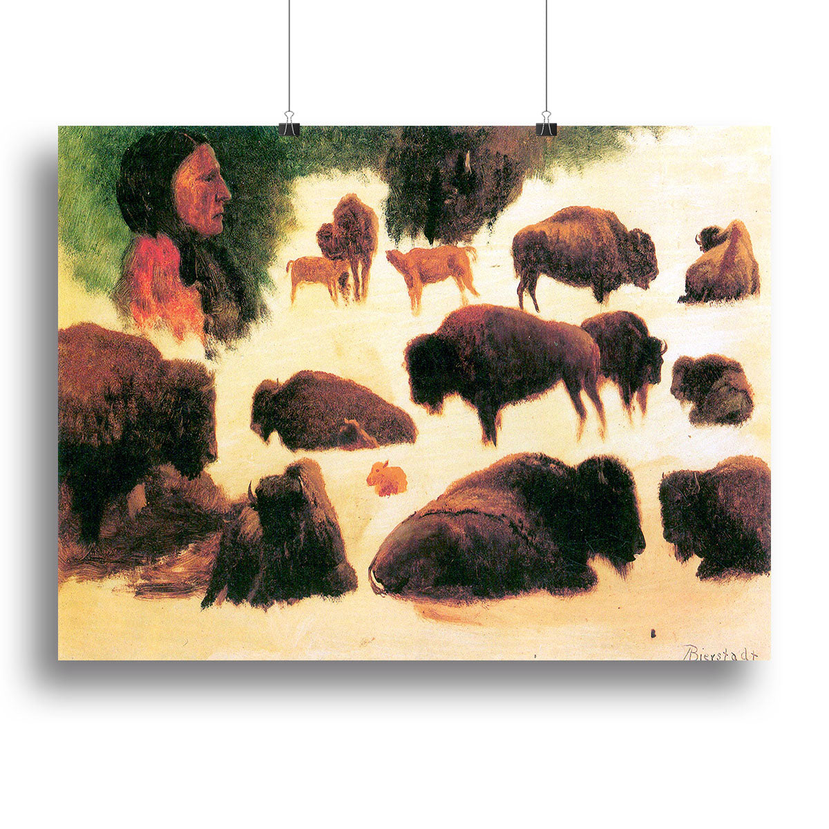 Study of Buffaloes by Bierstadt Canvas Print or Poster - Canvas Art Rocks - 2