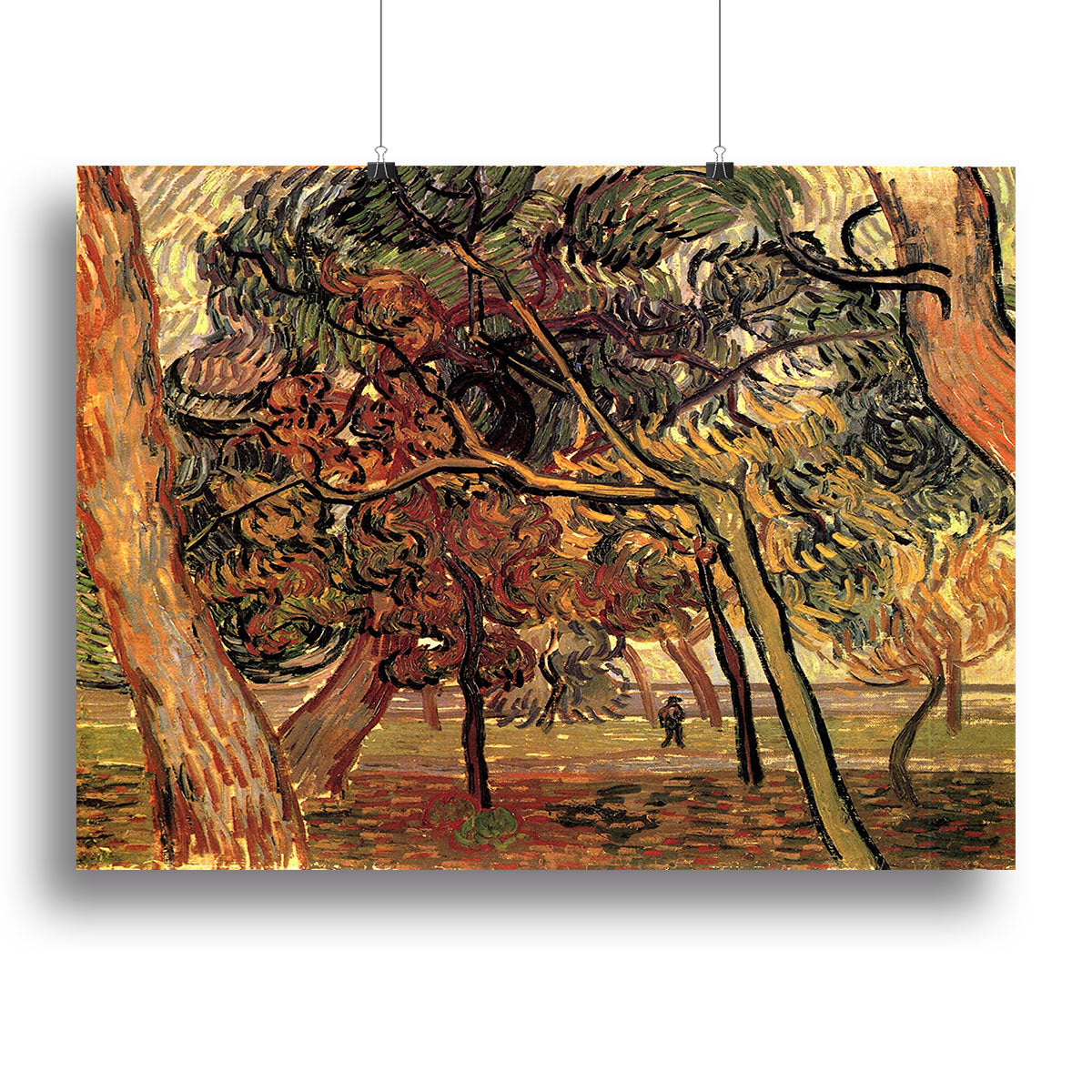 Study of Pine Trees by Van Gogh Canvas Print or Poster - Canvas Art Rocks - 2