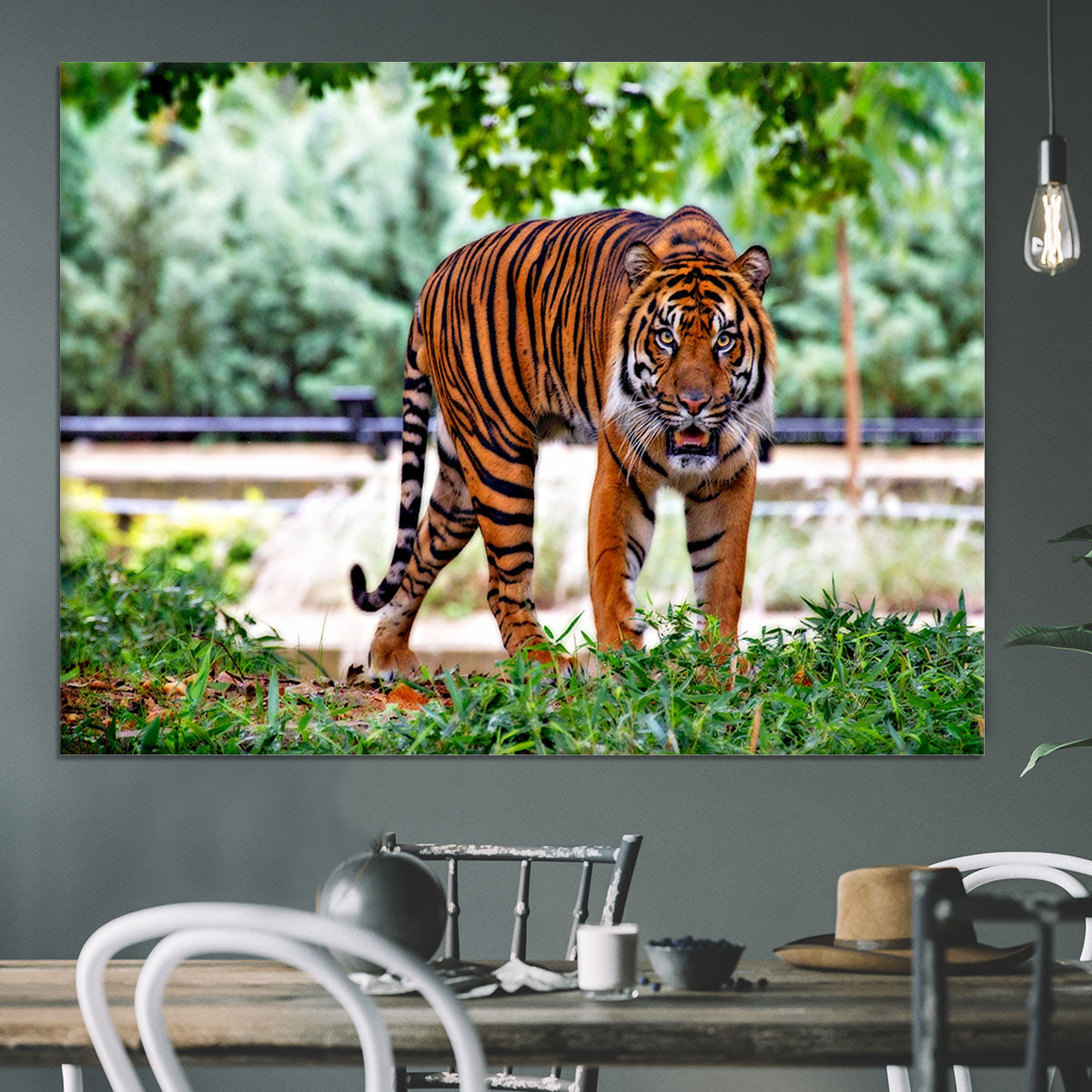 Sumatran Tiger Canvas Print or Poster - Canvas Art Rocks - 3